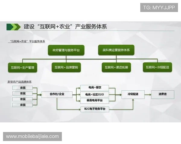 ag电子游艺平台的客户服务体系，全天候为玩家提供专业支持与帮助