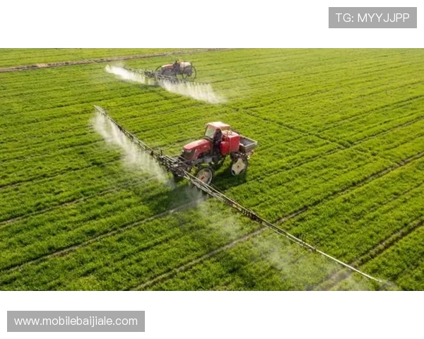 PA视讯登录流程详解,助你快速安全进入娱乐平台 PA视讯登录流程详解,助你快速安全进入娱乐平台