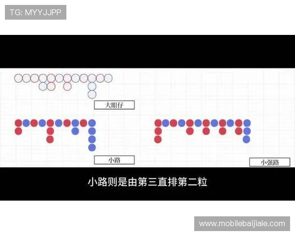 百家乐小路的常见误区与正确使用方法，避免新手陷入的常见陷阱与误导