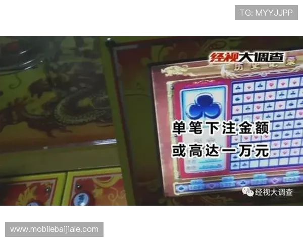 全面介绍百家乐技巧与规则,适合不同水平玩家的实用攻略让你成为游戏高手